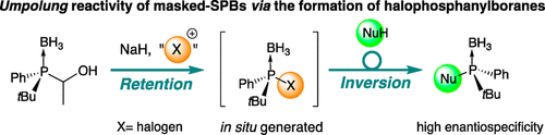 TOC Image 1